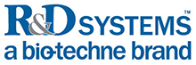 RnD Systems